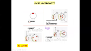 CM n°2 Angiospermes Biodiversité des végétaux et des champignons