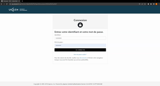 Comment importe un modèle de page mahara ?